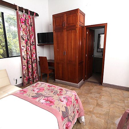 Amazilia Hotel Cerritos Zewnętrze zdjęcie