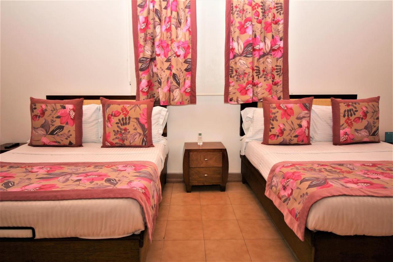Amazilia Hotel Cerritos Zewnętrze zdjęcie
