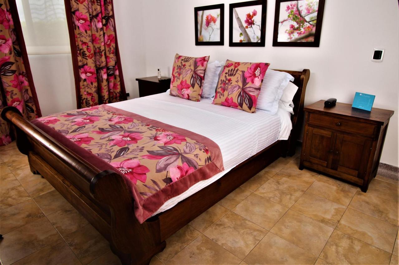 Amazilia Hotel Cerritos Zewnętrze zdjęcie