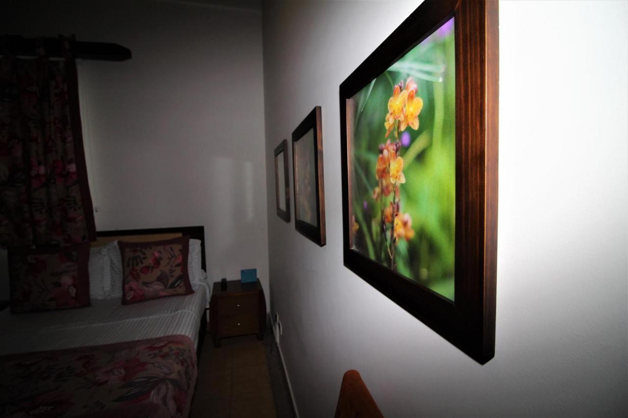 Amazilia Hotel Cerritos Zewnętrze zdjęcie